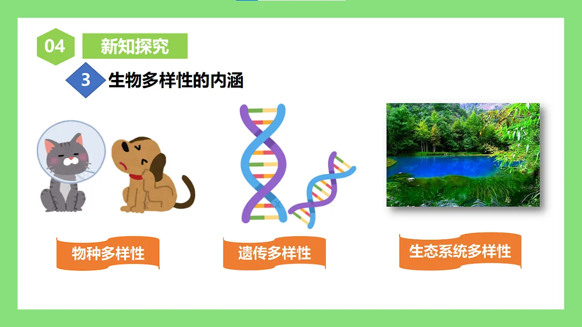 人教版初中生物八年级下册6.4.1《进化与生物多样性》课件第7页