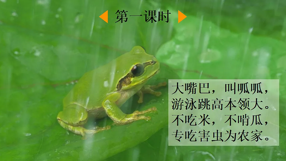 20 青蛙卖泥塘【优质版】第2页