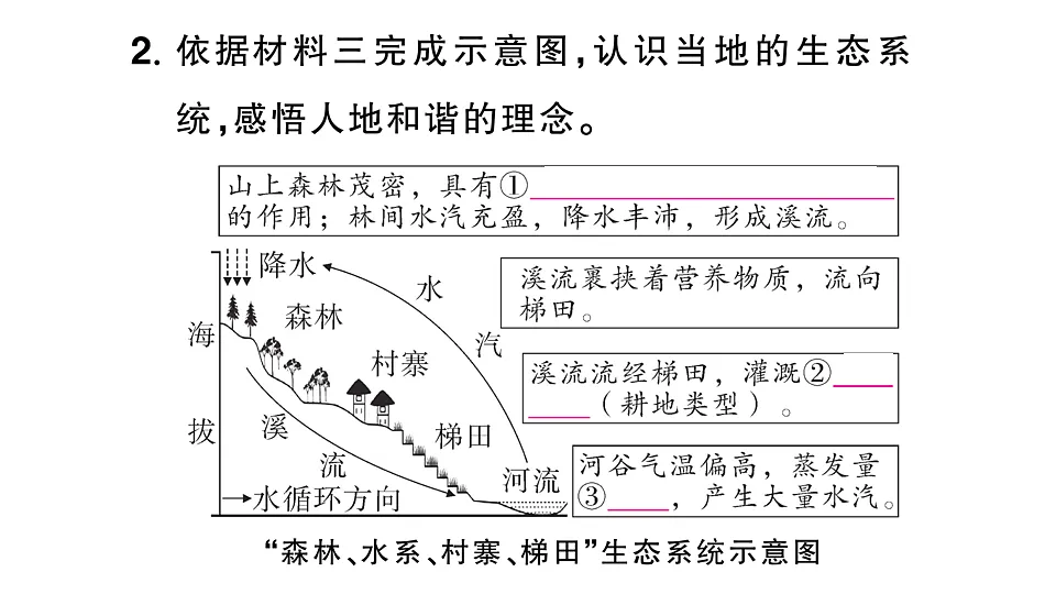 17907807第8页