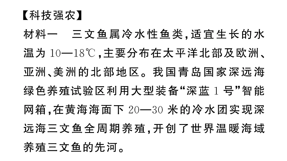 17907808第3页
