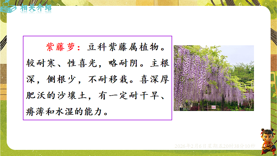 17907812第3页