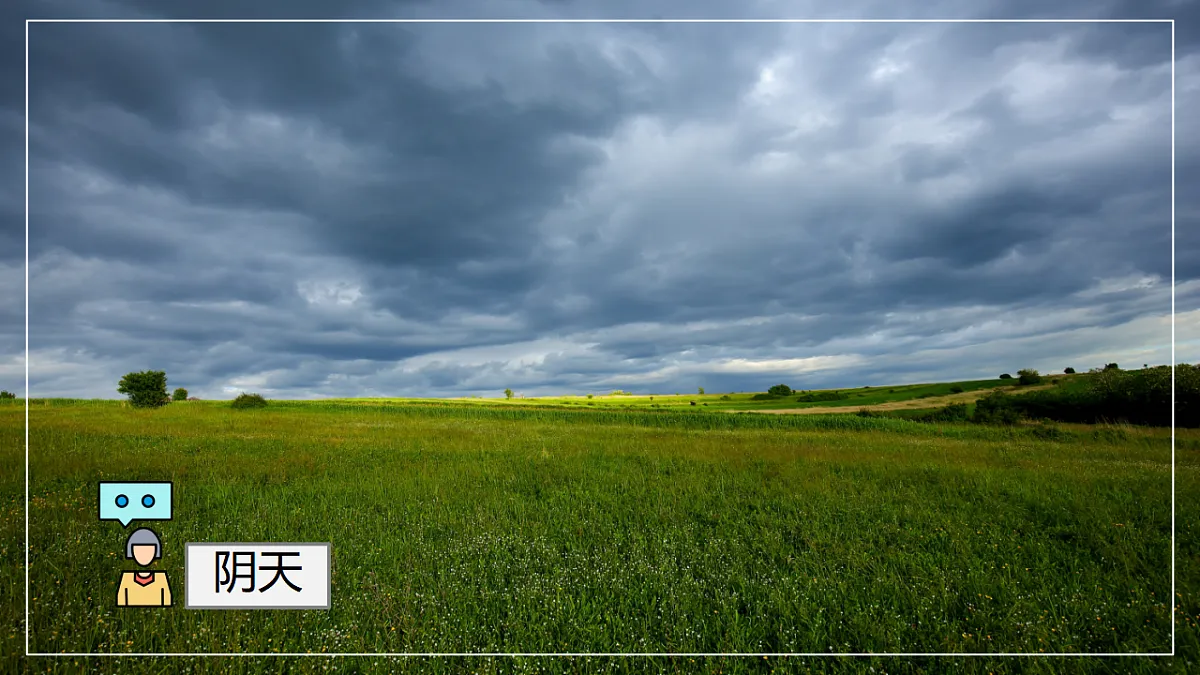 17907856第5页