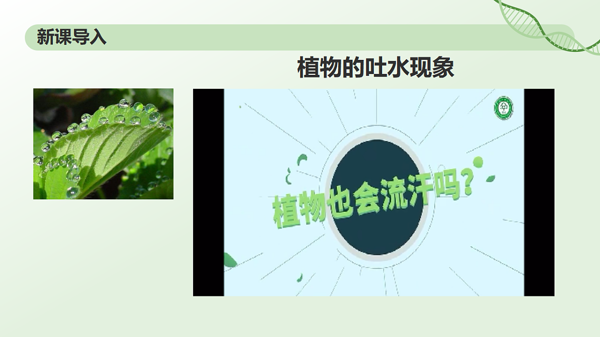 17908064第3页