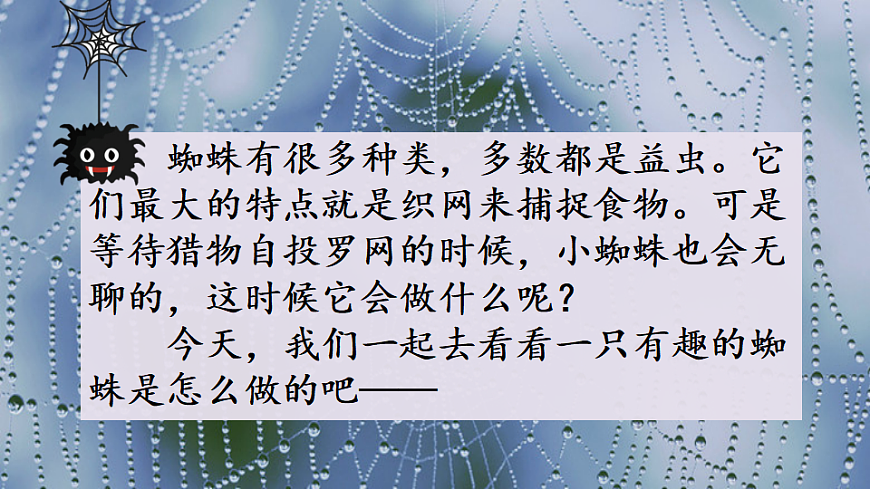 【核心素养】部编版小学语文二年级下册19 蜘蛛开店-课件第4页