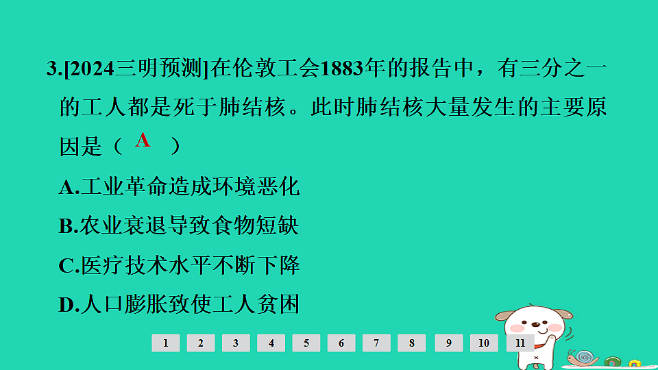 17908117第5页