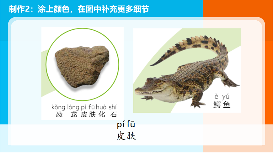5.《复原恐龙》课件第7页