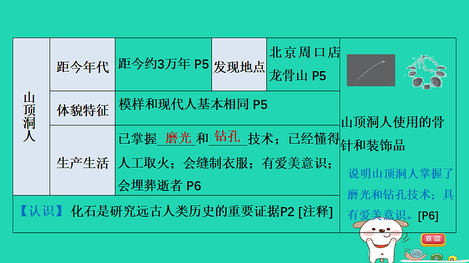17908464第8页