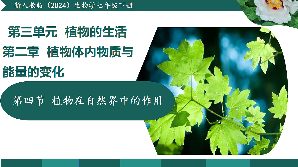 17908751第1页