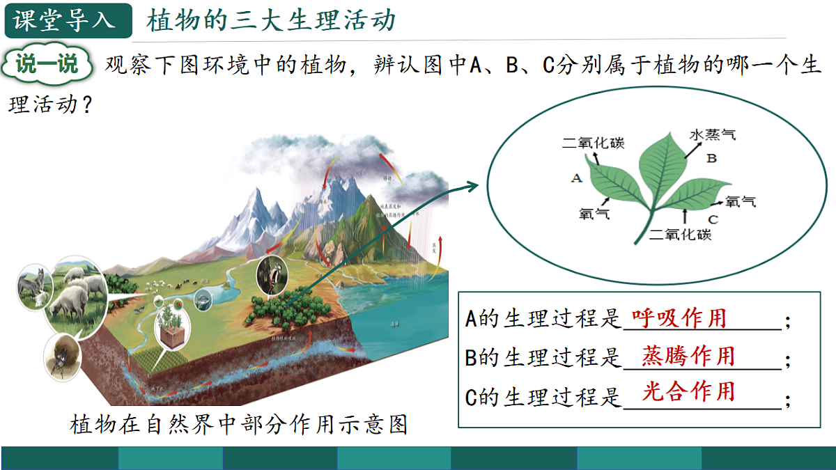 17908751第4页