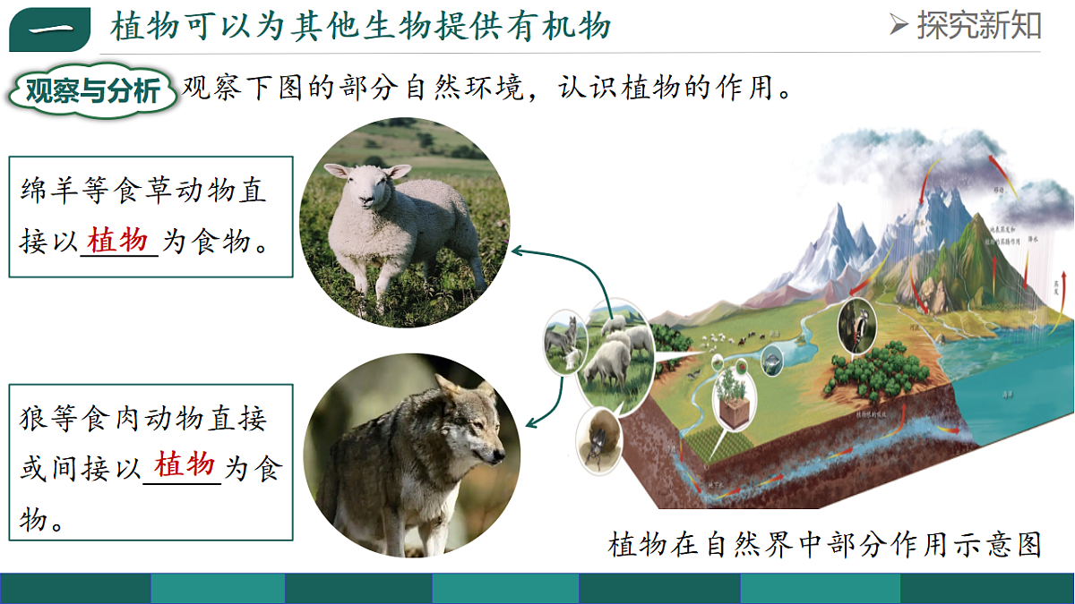 17908751第5页