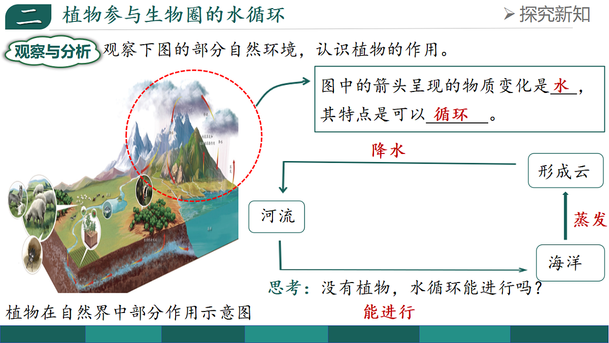 17908751第8页