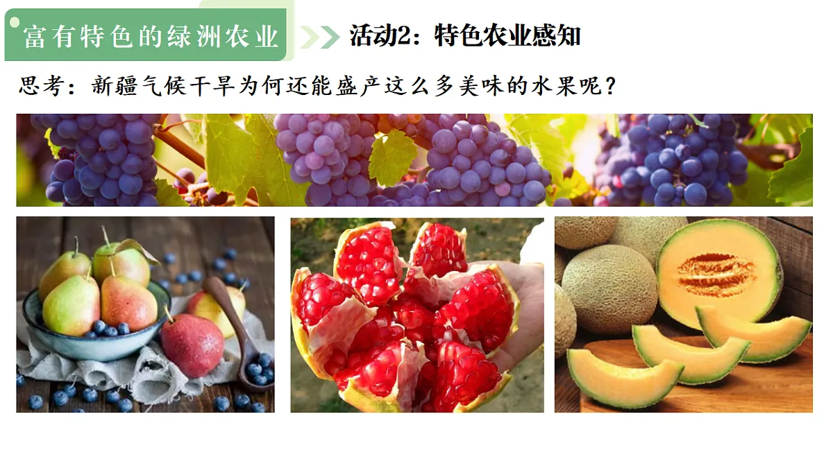 17908757第8页