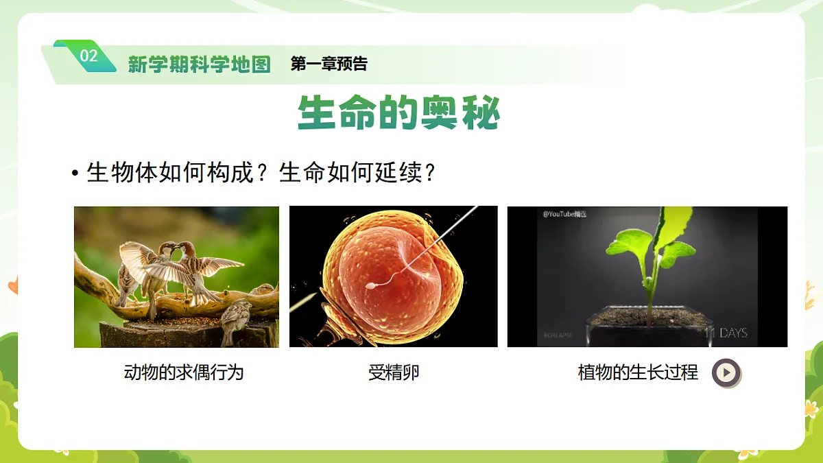 17908760第7页