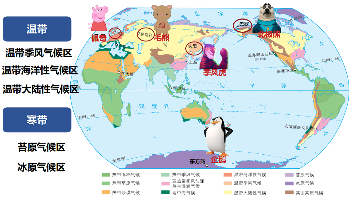 17908764第5页
