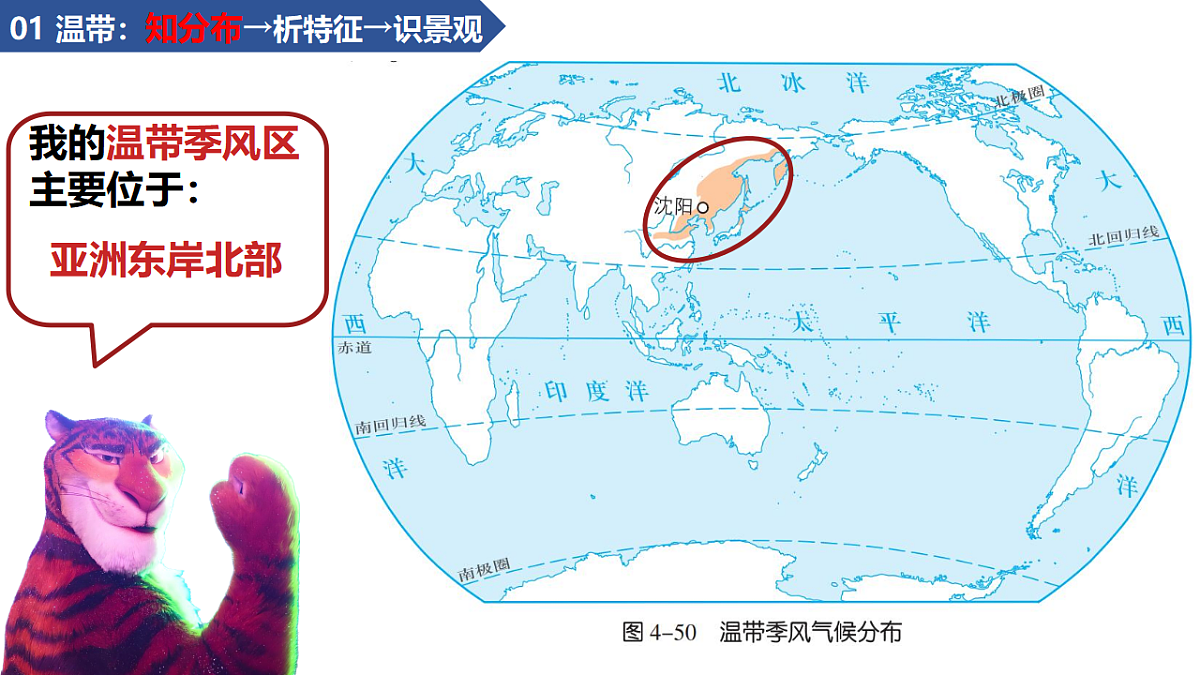 17908764第8页