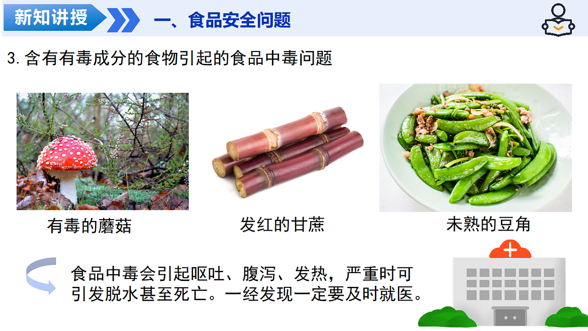 17908768第8页