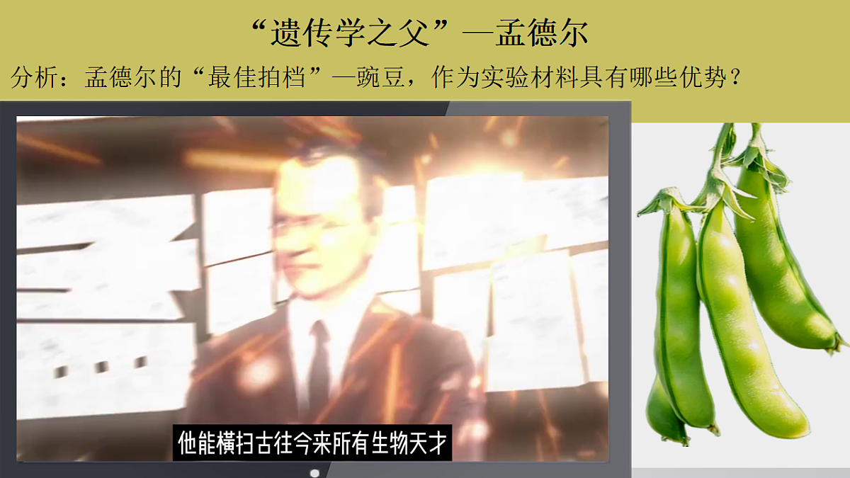 17908780第3页