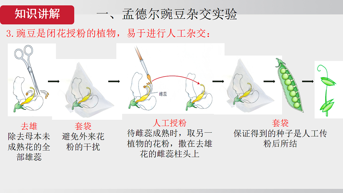 17908780第6页