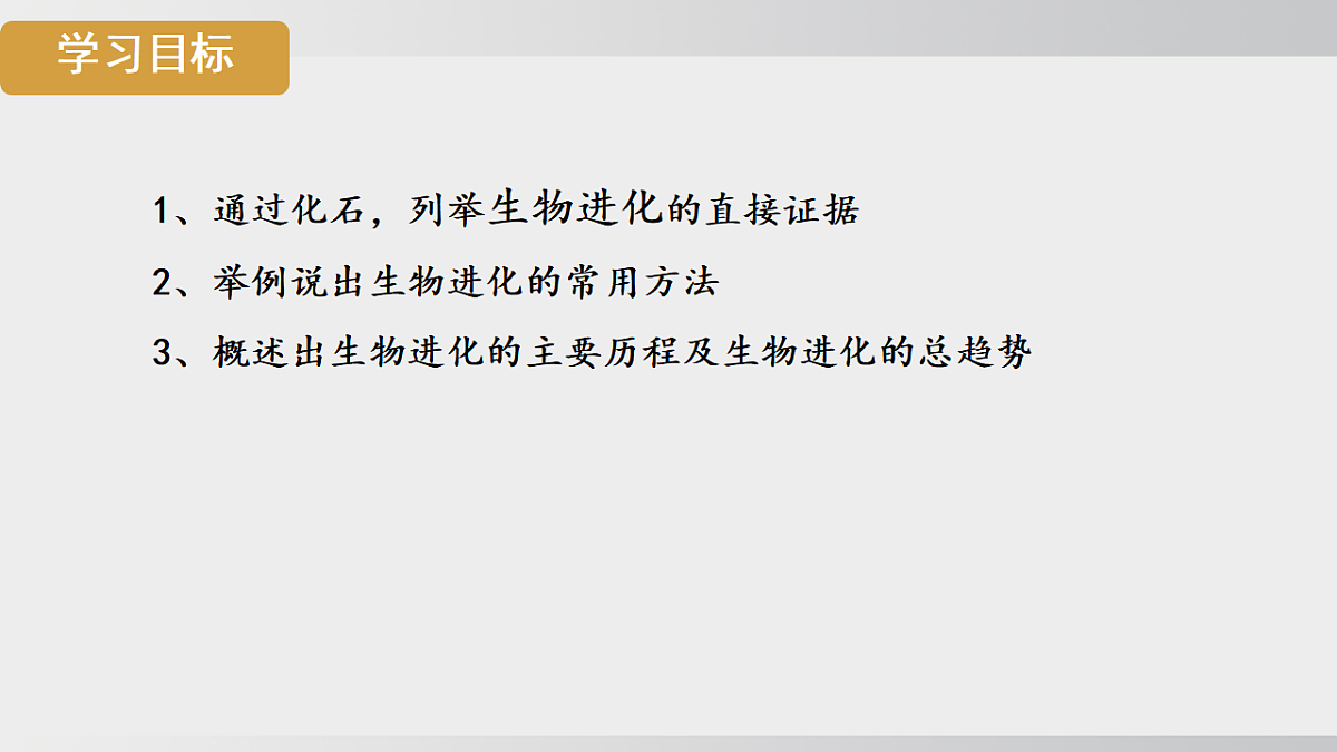 17908783第2页