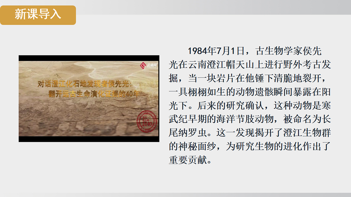 17908783第3页