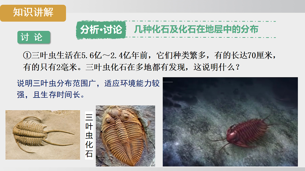 17908783第6页