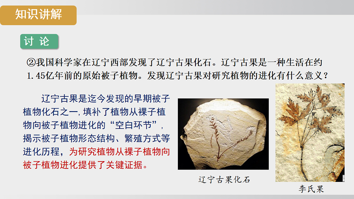 17908783第7页