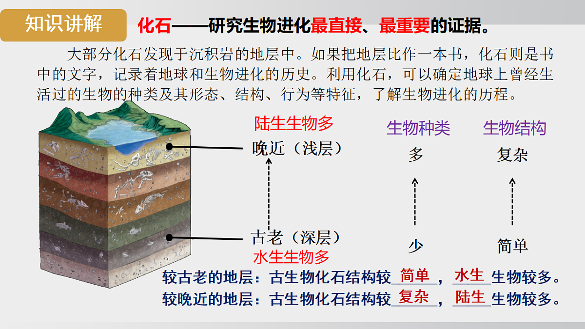 17908783第8页