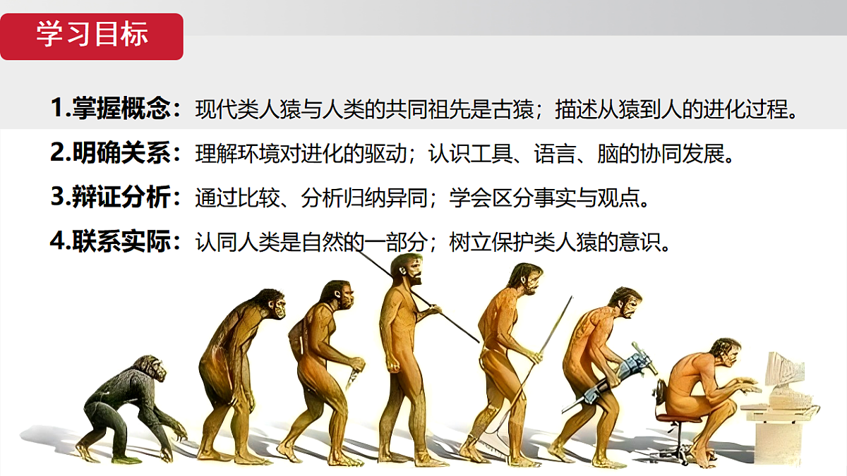 17908784第2页