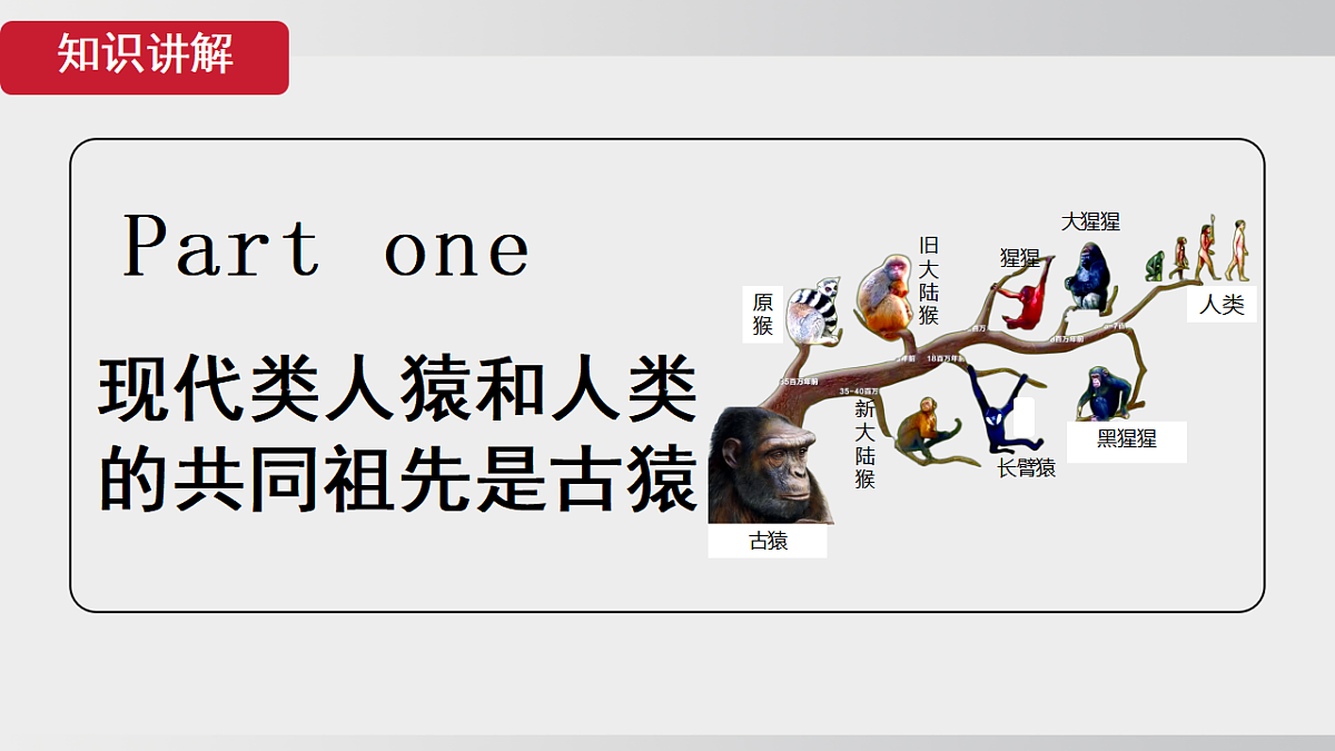 17908784第4页