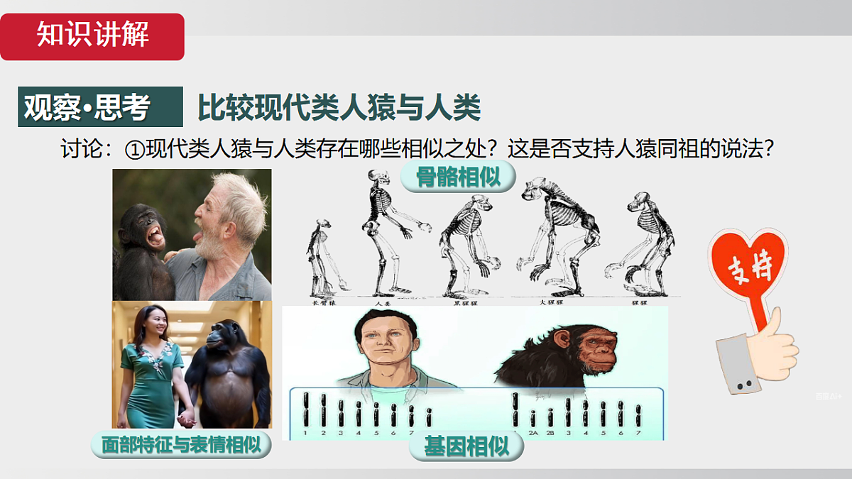 17908784第6页