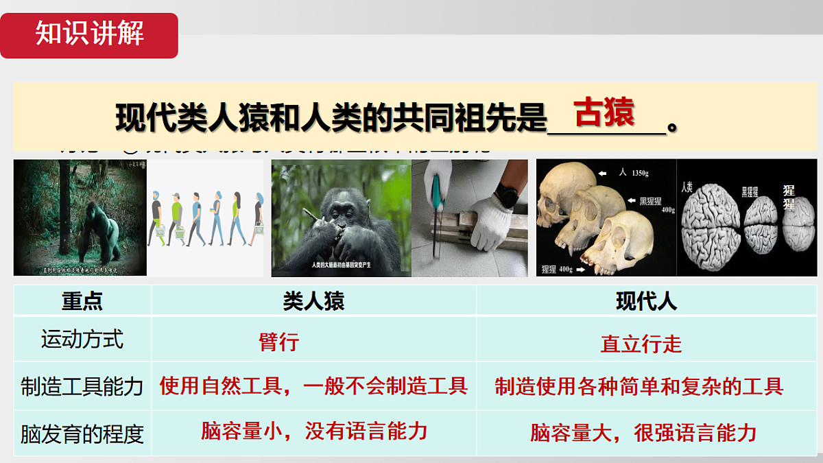 17908784第7页