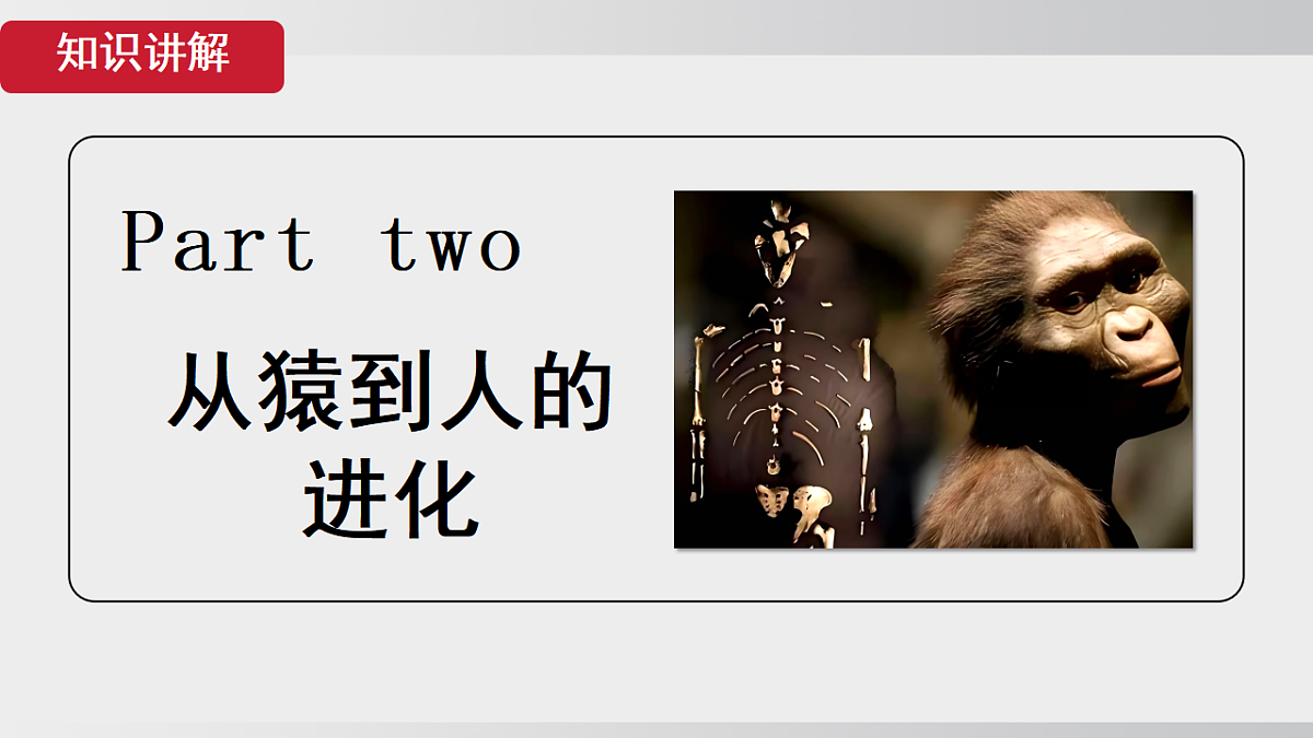 17908784第8页