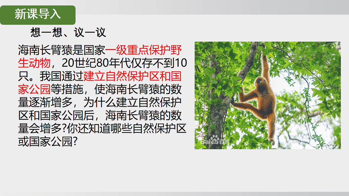 17908786第1页