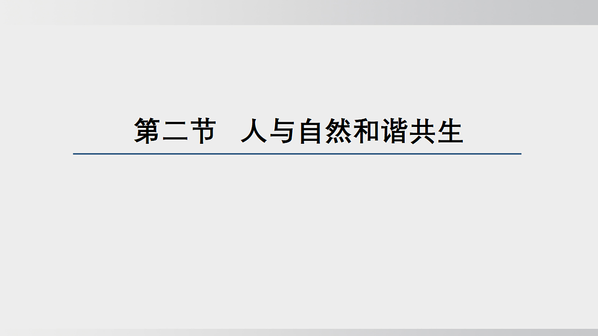 17908786第2页
