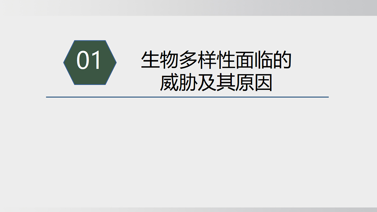 17908786第4页