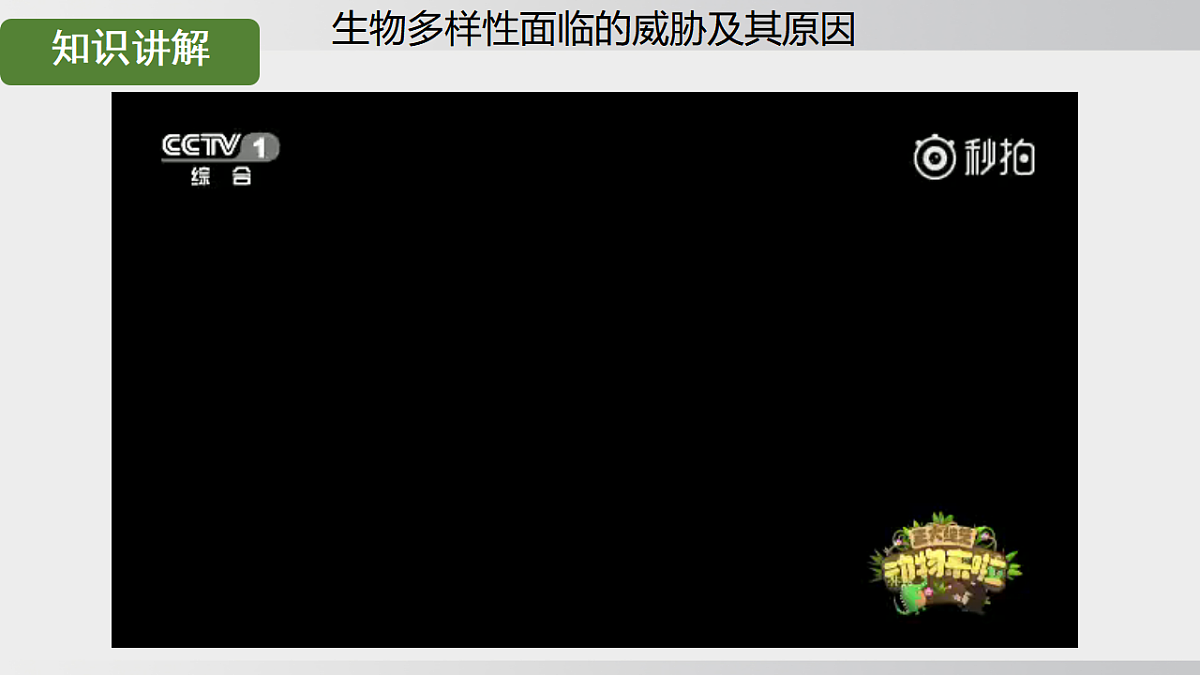 17908786第5页
