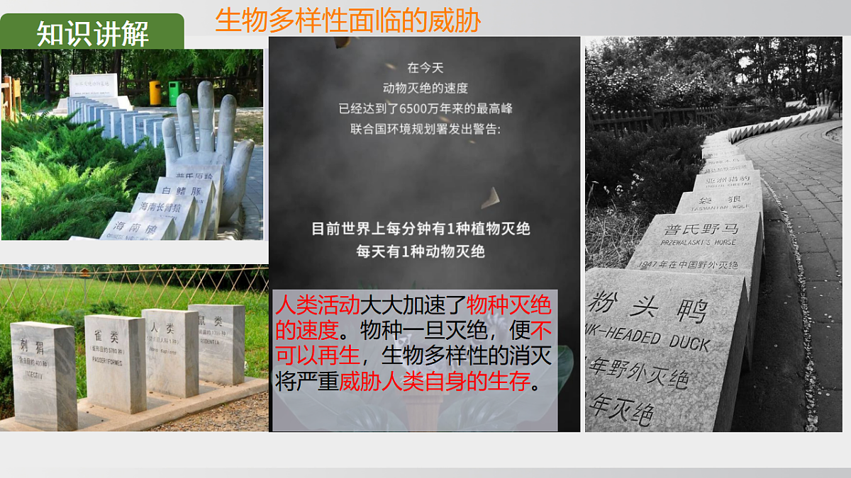 17908786第6页