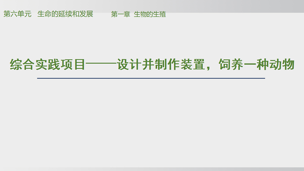17908787第1页