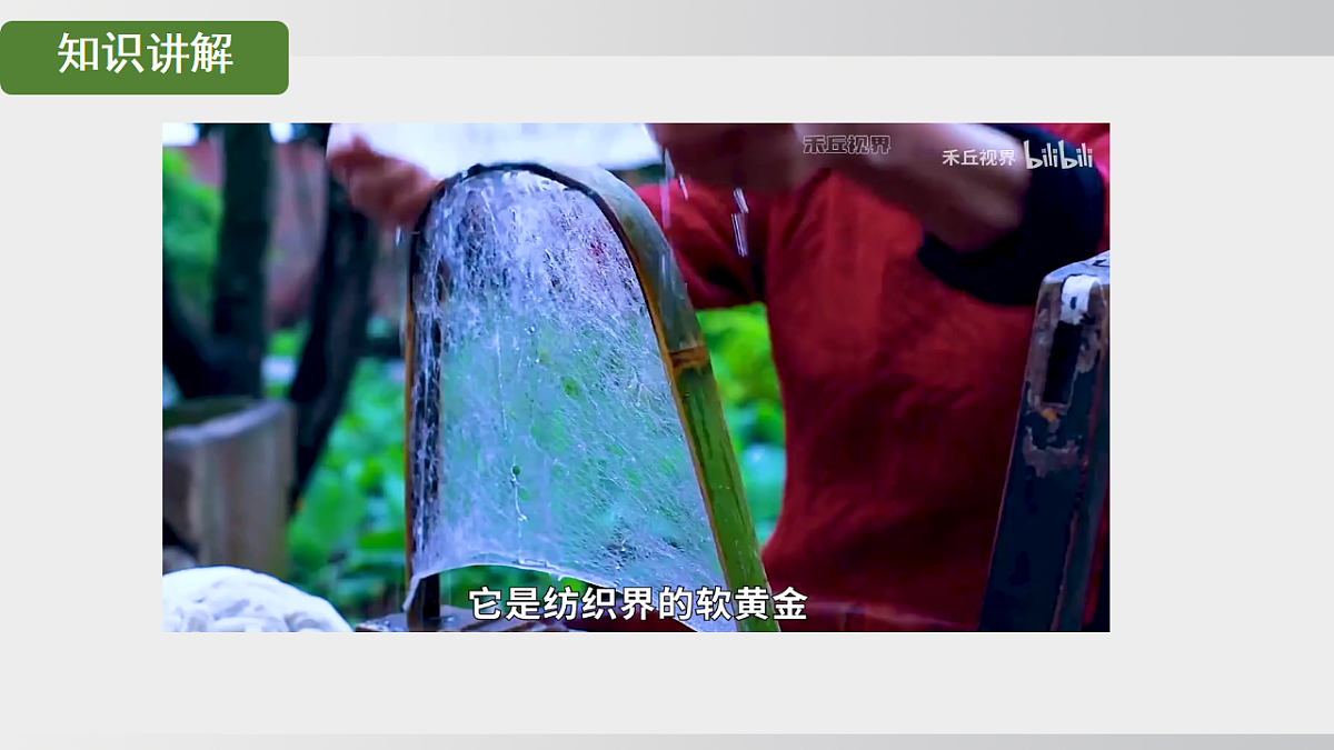 17908787第3页