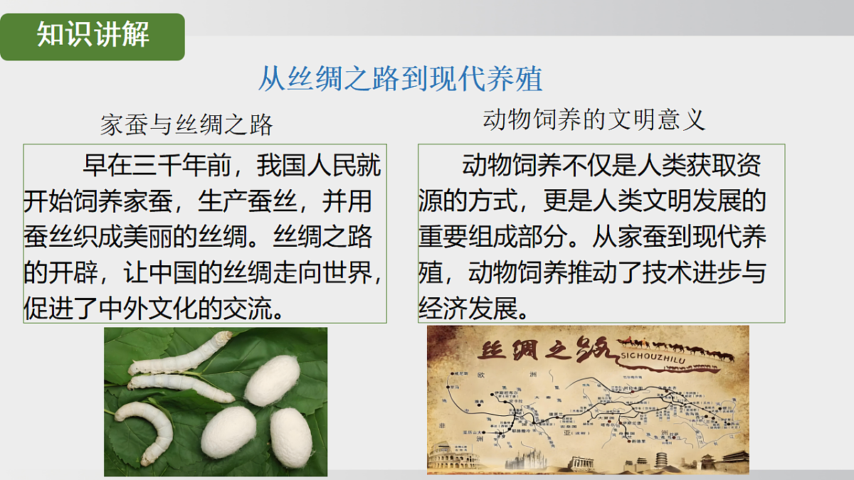 17908787第4页