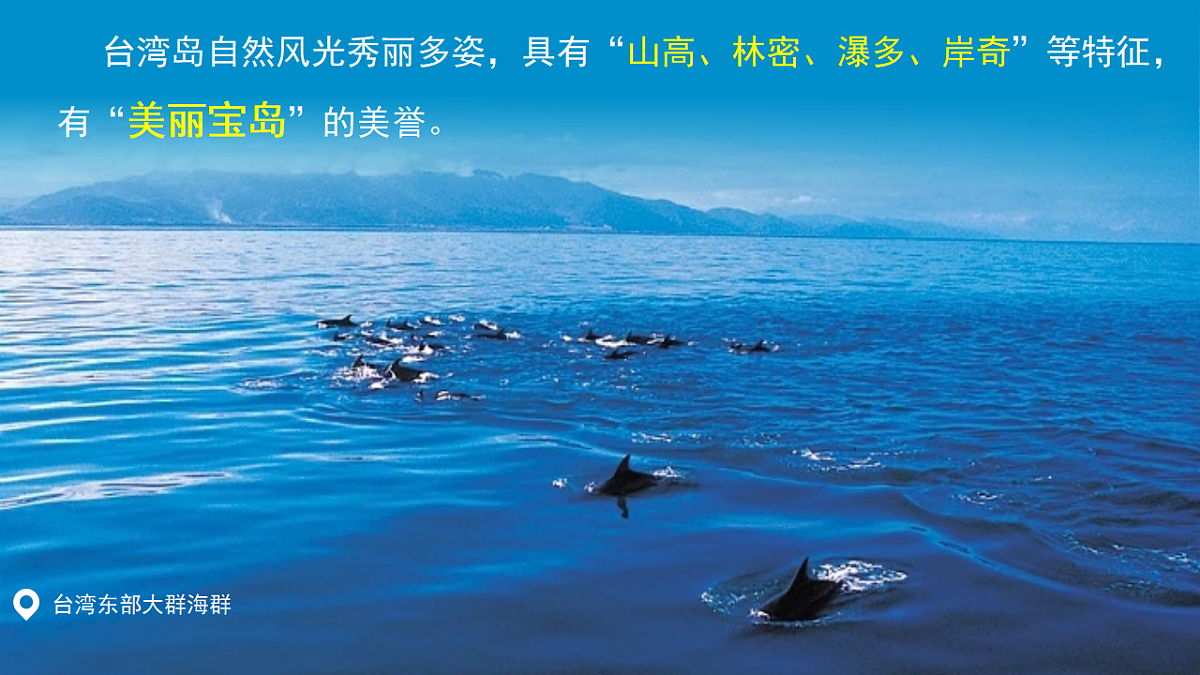 17908790第7页
