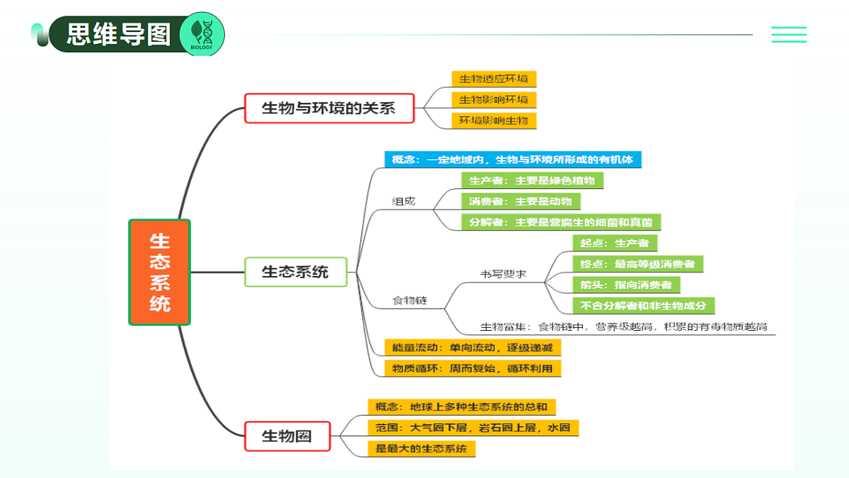 17908794第3页
