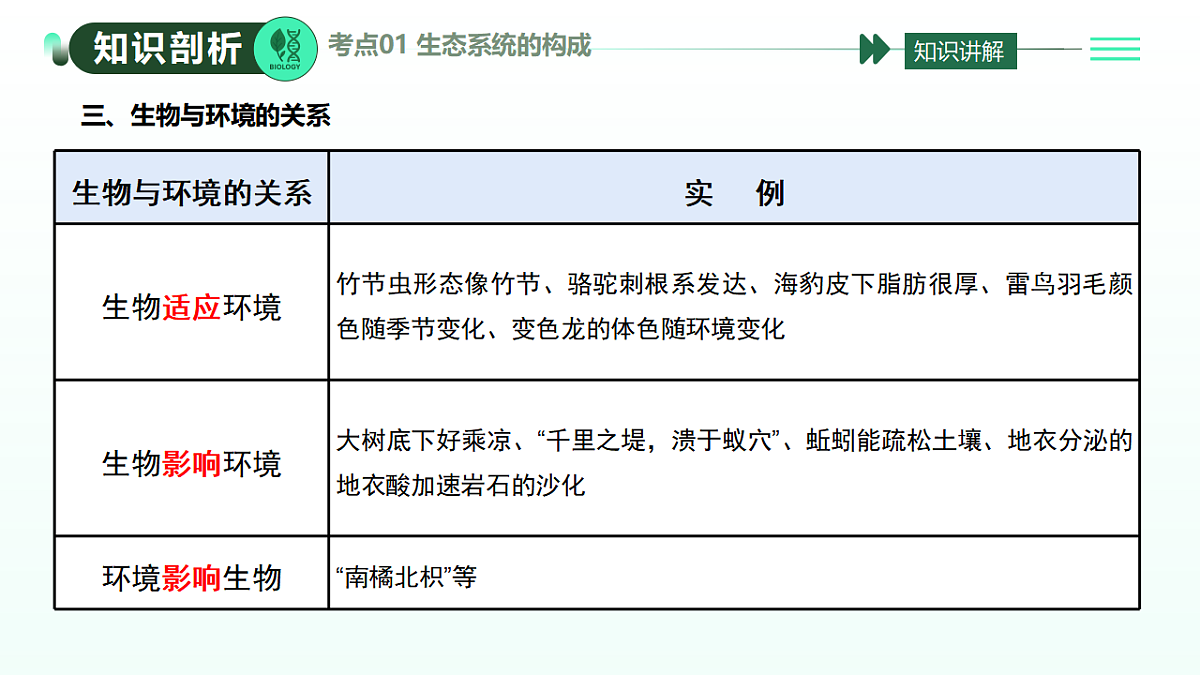 17908794第7页