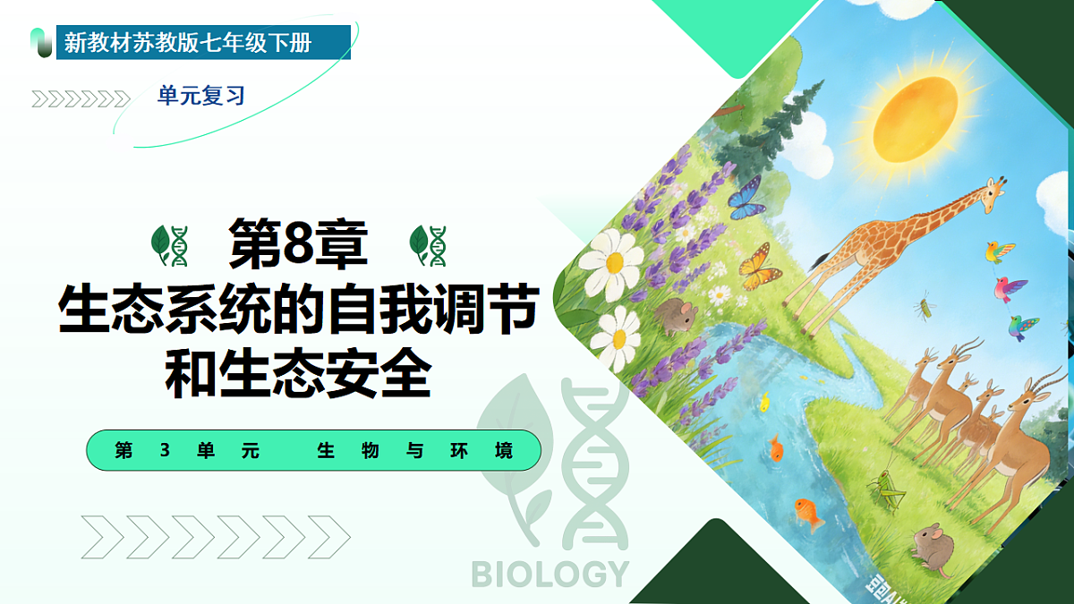 17908795第1页