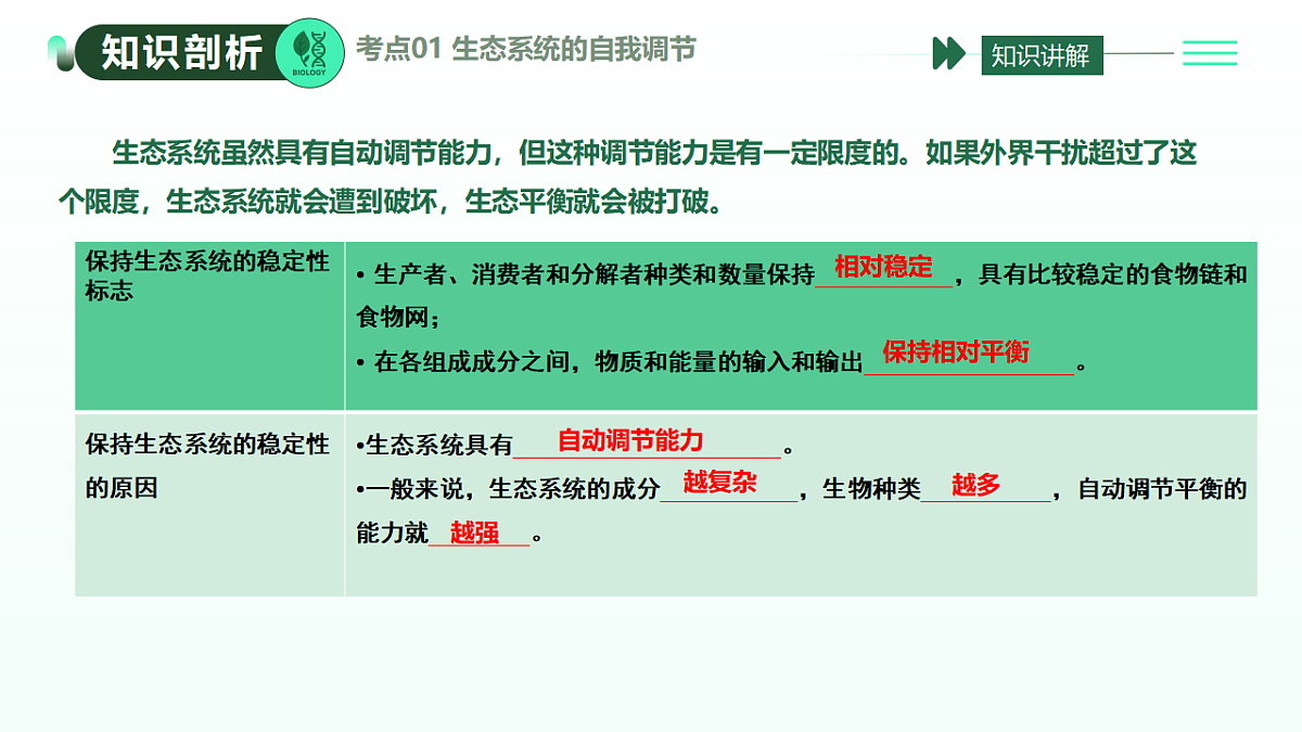 17908795第5页