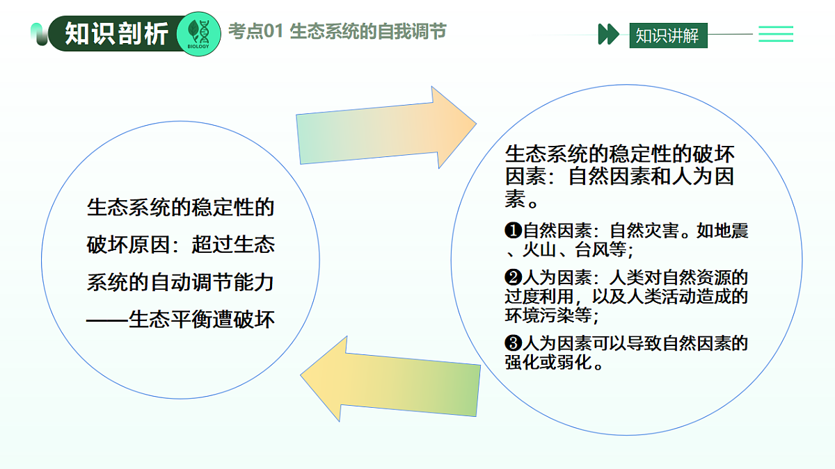 17908795第6页