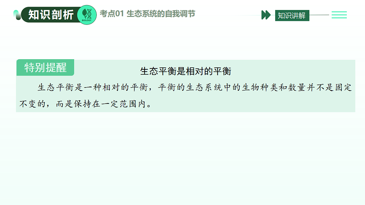 17908795第7页