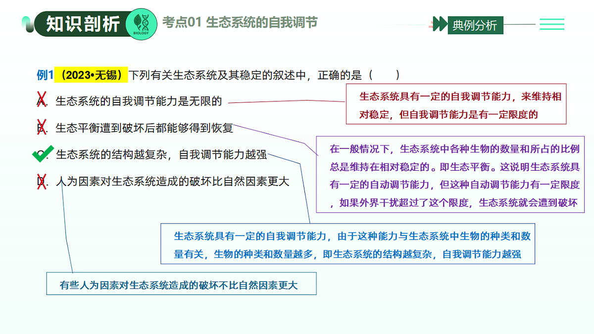17908795第8页