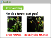 新人教版PEP（2024）英语四年级下册 Unit 6 From farm to table Part B Read and write（课件+含音视频）