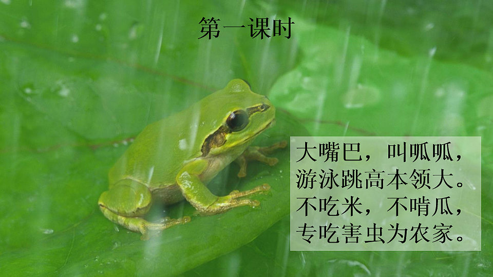 【核心素养】部编版小学语文二年级下册20 青蛙卖泥塘-课件第2页